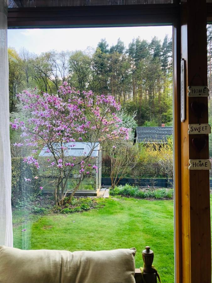 Vila Waldidyll Neuzelle Exteriér fotografie
